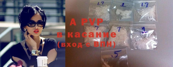 твердый Лагань