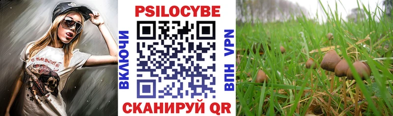 hydra как войти  купить   Олёкминск  Галлюциногенные грибы мухоморы 